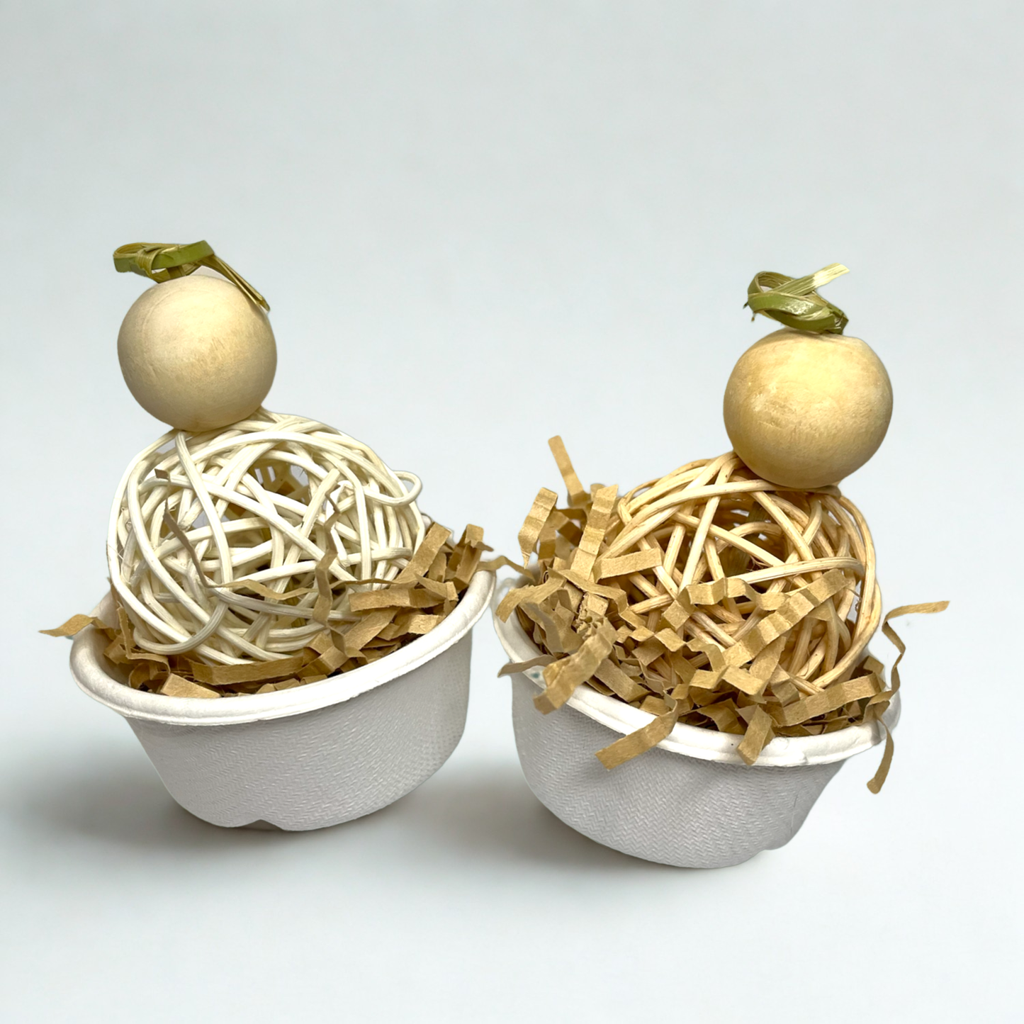 Ice Cream Scoop Duo