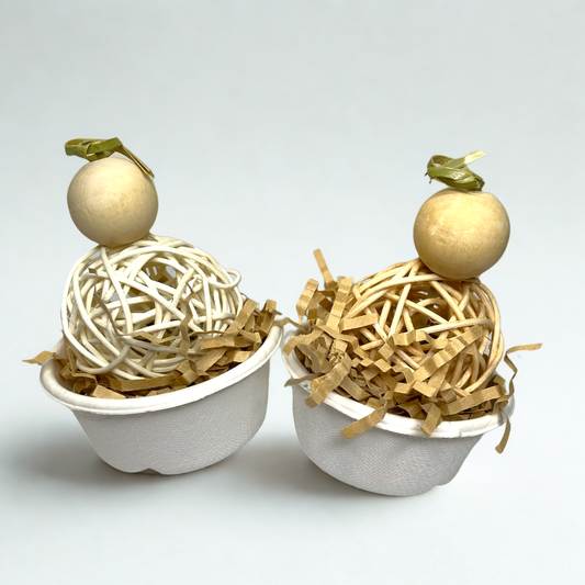 Ice Cream Scoop Duo