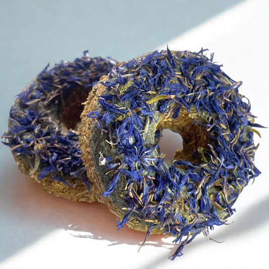 Snowy Donut – Winter Limited Edition