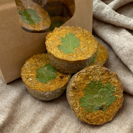 Mango Coriander Haycakes