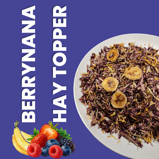 Berrynana Hay Topper with dried fruit on a blue background