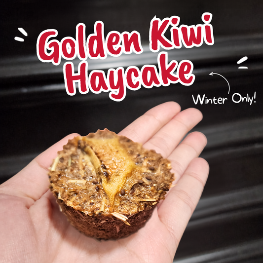 Winter Collection Treats – Golden Kiwi Haycake